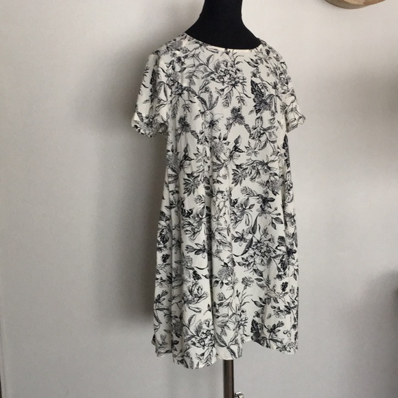 NWT Dress - Picture 1 of 8